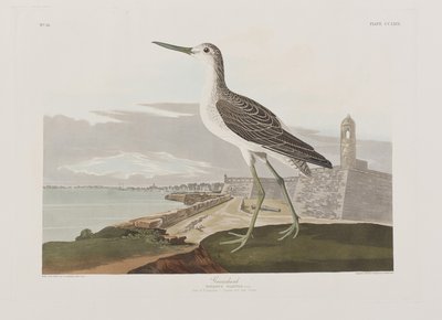 Illustration aus 