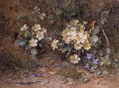 Primeln und Veilchen auf einem moosigen Ufer von John Jessop Hardwick
