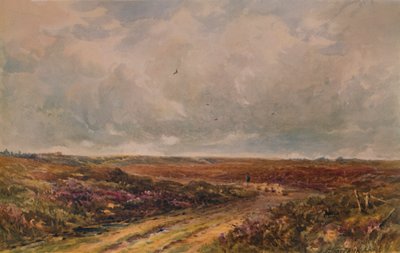 Stürmischer Tag auf einem Surrey Common, 19.-20. Jahrhundert, 1935 von John Jessop Hardwick