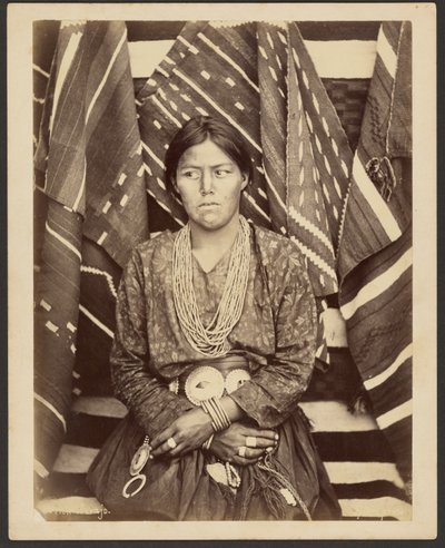 Ein Navajo von John K. Hillers