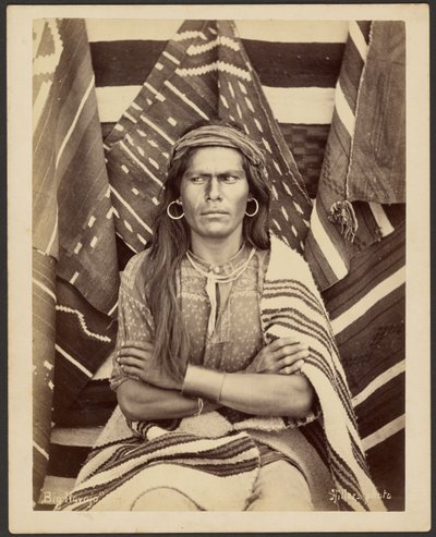 Großer Navajo von John K. Hillers