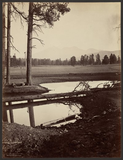 San Francisco Mountains, Arizona von John K. Hillers