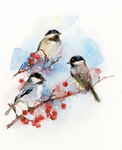 Meisen mit Beeren von John Keeling