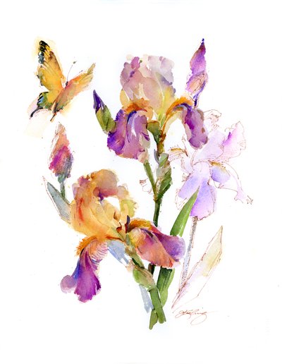 Iris mit gelbem Schmetterling von John Keeling
