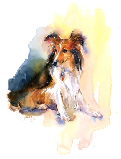 Sheltie Porträt von John Keeling