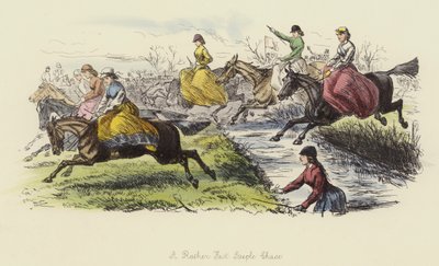 Ein ziemlich schnelles Hindernisrennen von John Leech