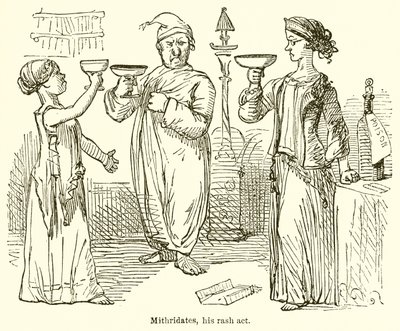 Mithridates, seine unüberlegte Tat von John Leech