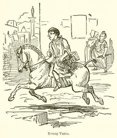 Junger Varro von John Leech