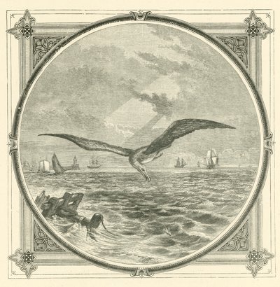 Wenn arm, handle vorsichtig von John Leighton