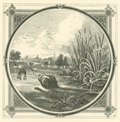 Viele Missgeschicke zwischen dem Becher und den Lippen (Stich) von John Leighton