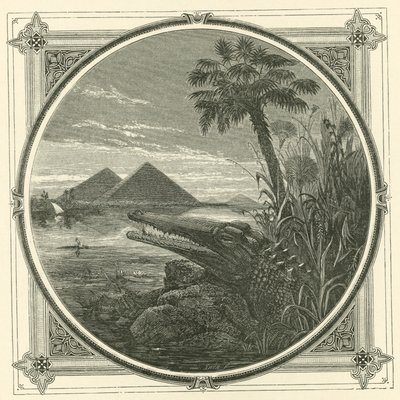 Wer sich selbst schadet, nützt niemandem (Stich) von John Leighton