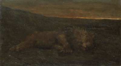 Schlafender Löwe bei Nacht von John Macallan Swan