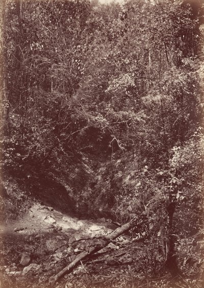 Darien-Expedition von John Moran