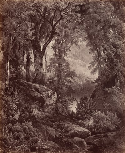 Einsamkeit von John Moran
