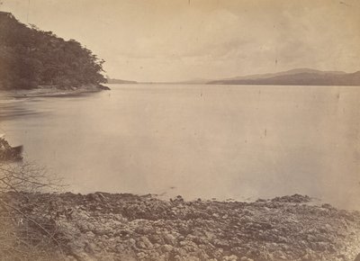 Tropische Landschaft, Darien Hafen - Blick nach Süden, 1871 von John Moran