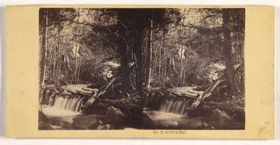 Der Fall des Künstlers von John P. Soule