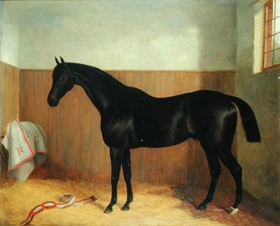 Tommy, Porträt eines Pferdes, ca. 1870er von John Paul