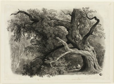 Alter Baum im Billah - Sherwood Forest von John Rawson Walker