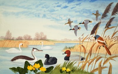 Naturszene von John Rignall