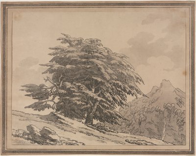 Darstellungen des allgemeinen Charakters, Verzweigungen und Laub von Waldbäumen: Zeder von John Robert Cozens