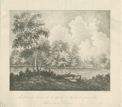 Lichfield Kathedrale - West Südwest Ansicht (fern) von John Robert Fernyhough