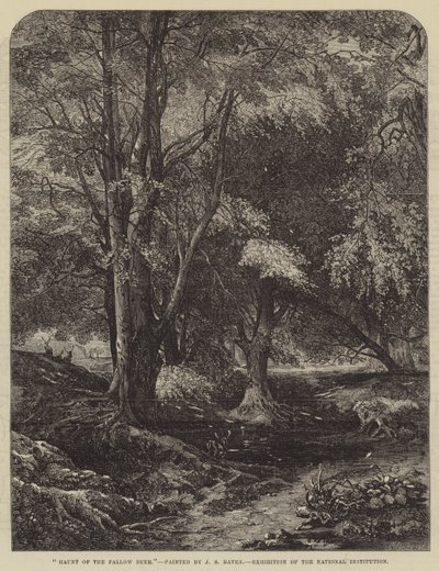 Heimat des Damhirsches von John Samuel Raven