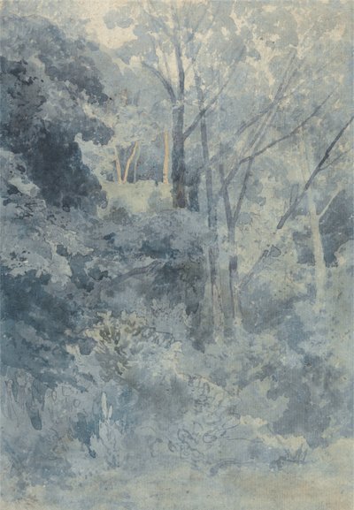 In Rokeby Park von John Sell Cotman