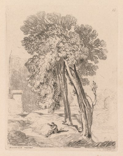 Liber Studiorum: Tafel 18, Bäume bei Norwich Thorp, Norfolk von John Sell Cotman