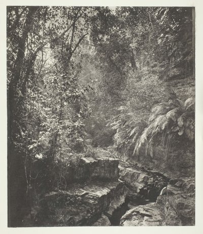 Ein Gebirgspass in Formosa von John Thomson