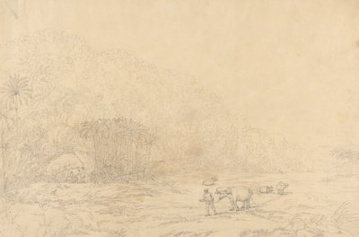 Ansicht auf der Insel Pulo Condore von John Webber