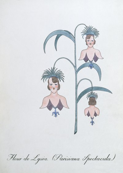 Fleur de Lysia (Parisiana Spectacula.), Illustration aus 
