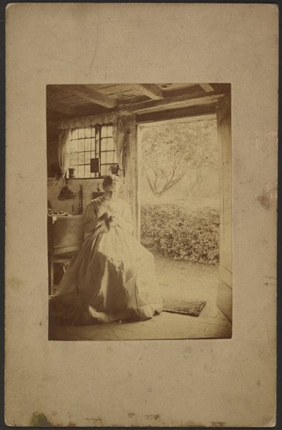 [Frau im langen gestreiften Kleid im Raum sitzend] von John Whistler