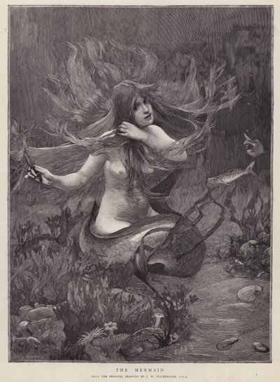 Die Meerjungfrau von John William (after) Waterhouse