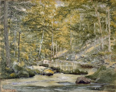 Waldteich mit Männern beim Angeln, 1870 von John William Hill