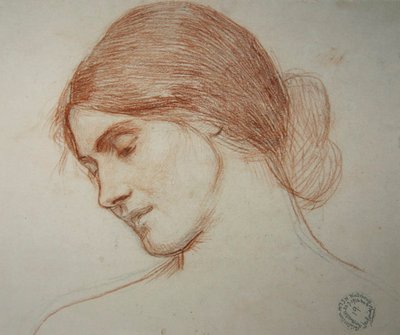 Kopf eines jungen Mädchens, nach links von John William Waterhouse