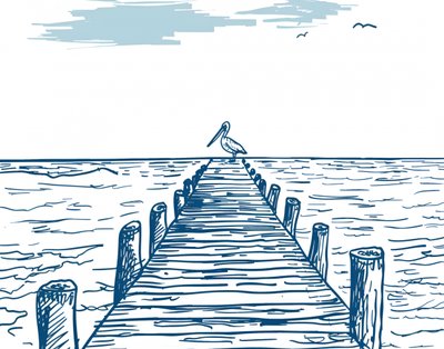 Pelikan auf dem Pier von Jolly and Dash