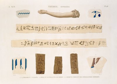 Illustrationen von Hieroglyphen und dem Arm einer Mumie aus Hypogäen, Theben, Tafel 48 aus Band II von 