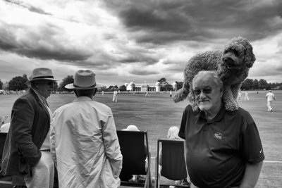 Das Goodwood-Anwesen in West Sussex, UK, 2018 von Jon Nicholson