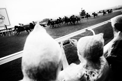 Das Goodwood-Anwesen in West Sussex, UK, 2019 von Jon Nicholson