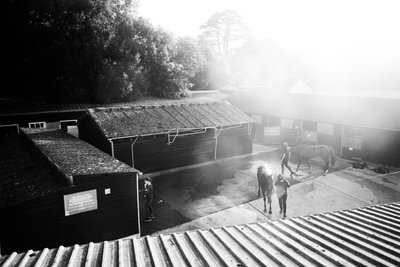 Das Goodwood-Anwesen in West Sussex, UK, 2019 von Jon Nicholson