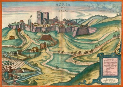 Agria vulgo Erla von Joris Hoefnagel
