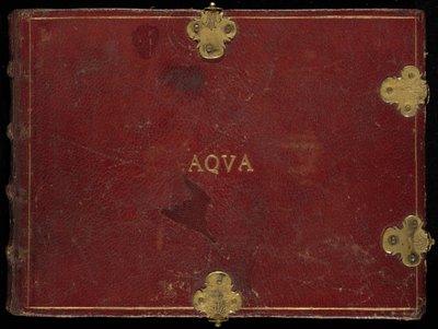 Animalia Aqvatilia et Cochiliata (Aqva), Band III von Joris Hoefnagel