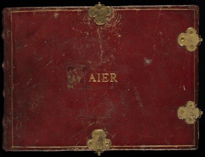 Animalia Volatilia et Amphibia (Aier), Band IV von Joris Hoefnagel