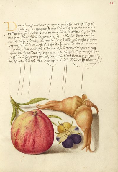 Gemeiner Apfel, Europäisches Wildes Stiefmütterchen und Riesenhaselnuss von Joris Hoefnagel