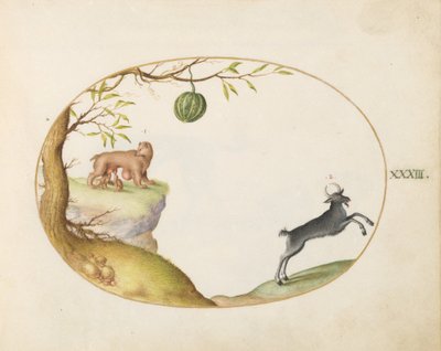 Teller 33: Ein "Simivulpa" (Opossum?) und ein Steinbock von Joris Hoefnagel