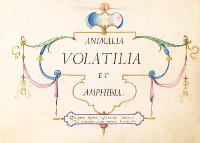 Titelseite von Joris Hoefnagel