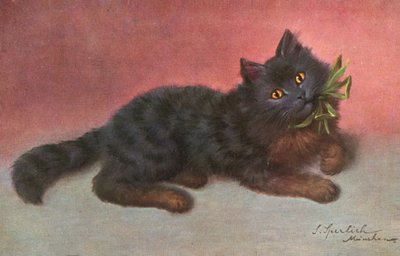 Katzenpostkarte von Josef Sperlich