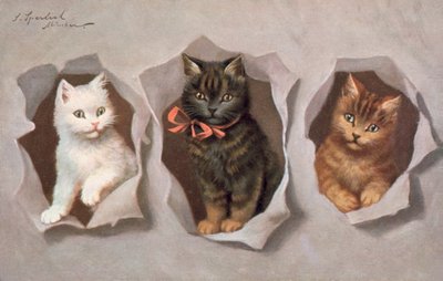 Katzenpostkarte von Josef Sperlich