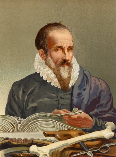 Ambroise Paré von Josep or Jose Planella Coromina