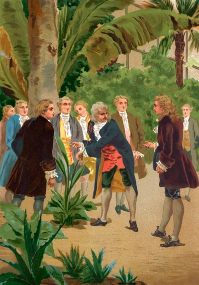 Carl von Linné von Josep or Jose Planella Coromina